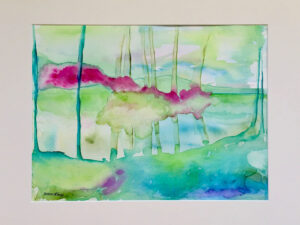 Mangrove – Bild 3