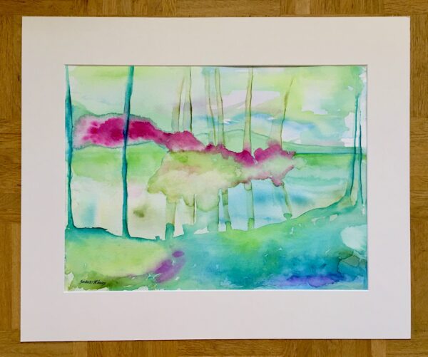 Mangrove – Bild 2