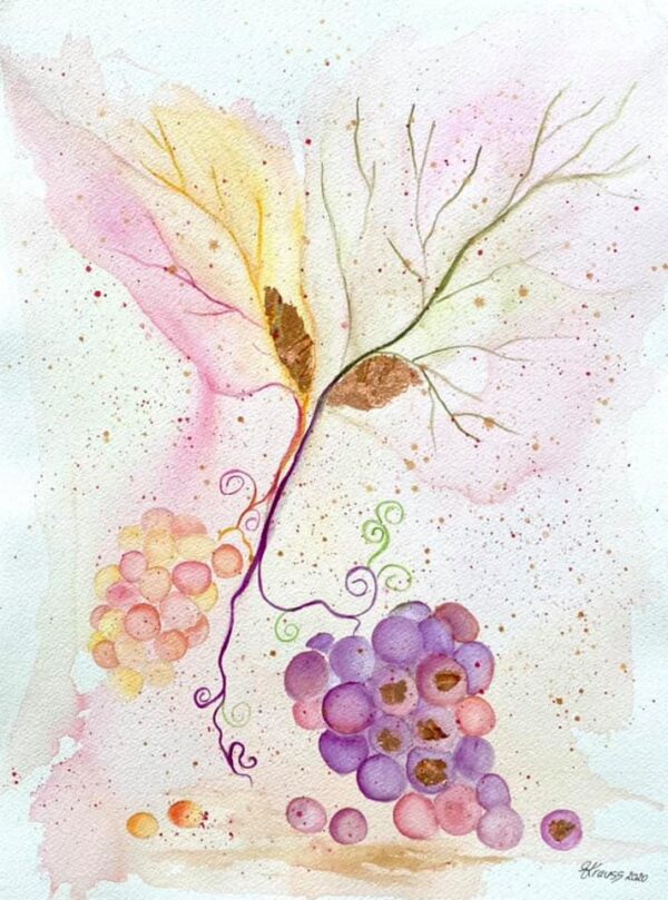 Weinblätter und Trauben – Bild 1